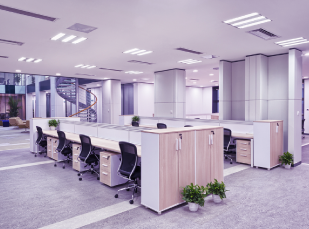 Organizational Culture